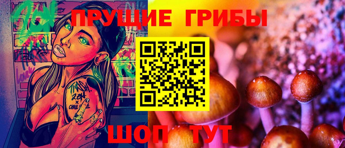 Советская Гавань  купить наркотик  Галлюциногенные грибы GOLDEN TEACHER  Вход с VPN  Галлюциногенные грибы Psilocybe 
